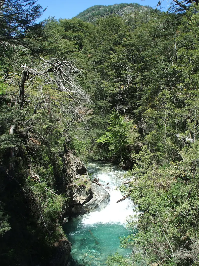 Bosque y arroyo en Colonia Suiza